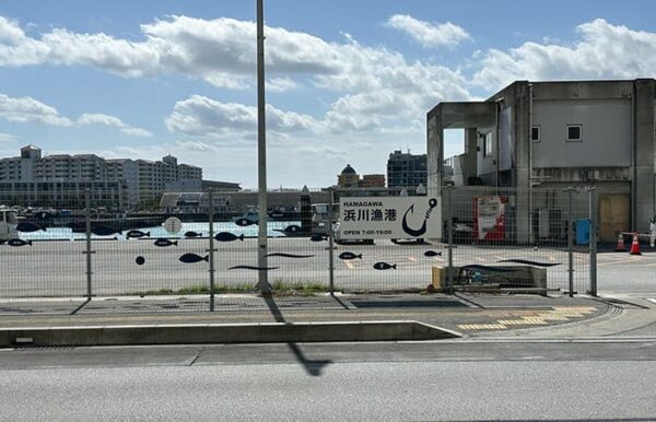 北谷発 ホエールウォッチング 浜川漁港