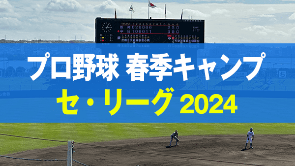 プロ野球 沖縄 春季キャンプ セ・リーグ 2024年