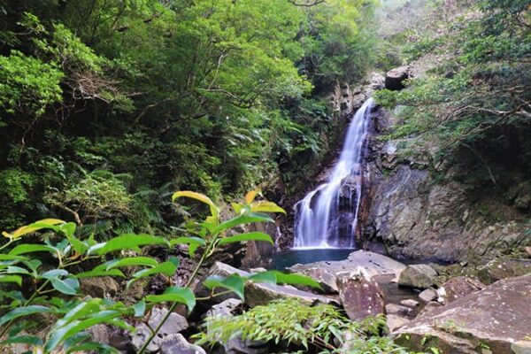 やんばる 国頭村 比地大滝