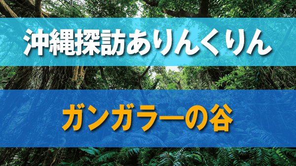 沖縄探訪 ありんくりん ガンガラーの谷 南城市