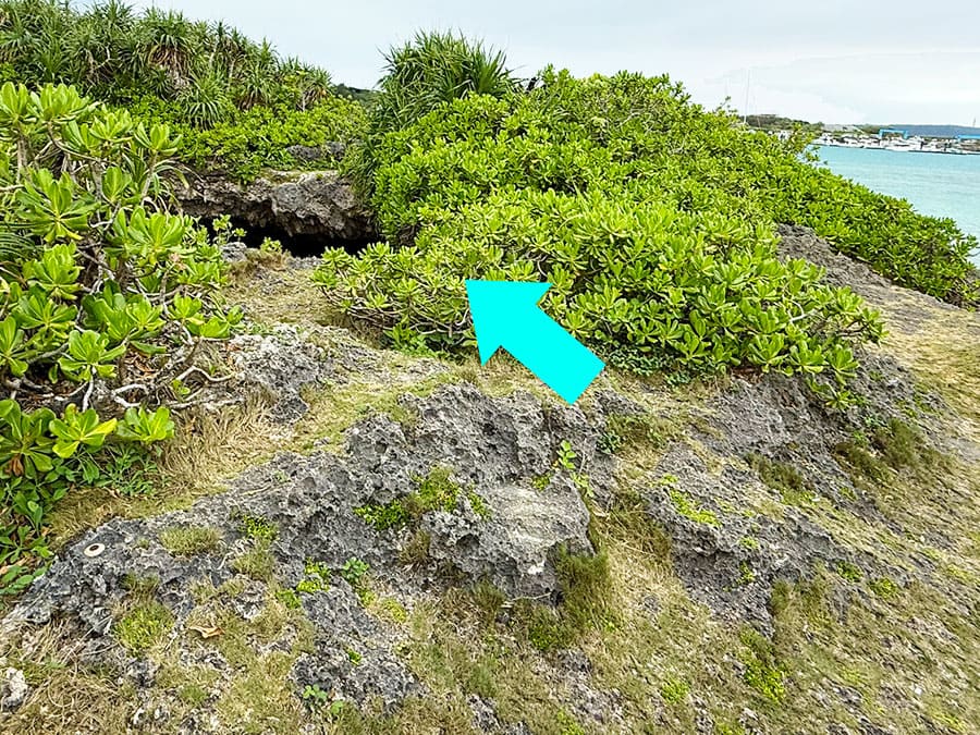 宮古島 ピキャズ 穴場 秘境 パワースポット 行き方 道案内