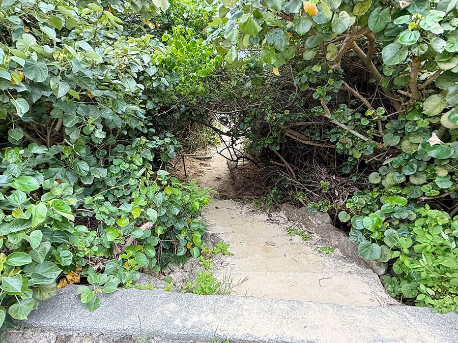 宮古島 ピキャズ 穴場 秘境 パワースポット 行き方 道案内 道なき道