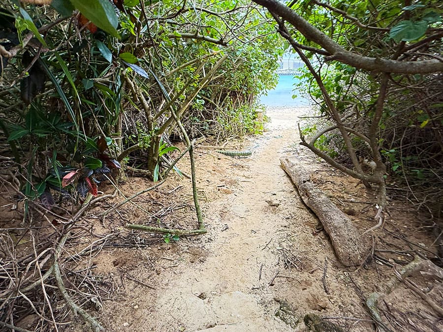 宮古島 ピキャズ 穴場 秘境 パワースポット 行き方 道案内 道なき道