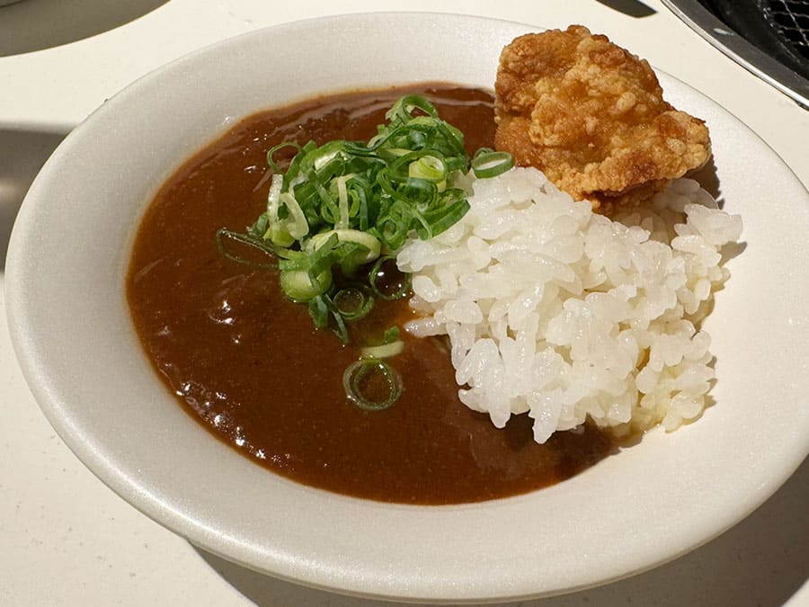 糸満市 サザンビーチホテル＆リゾート沖縄 ガーデン BBQ 沖縄そば出汁カレー 唐揚げを添えて