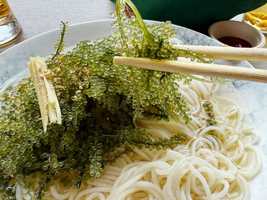 宮古島 宮古冷麺 海ぶどう