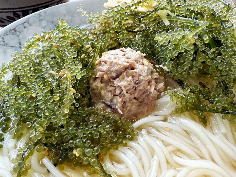 宮古島 宮古冷麺 海ぶどう かつおのなまり節 ツナマヨ風