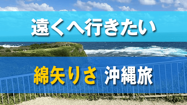 遠くへ行きたい 綿矢りさ