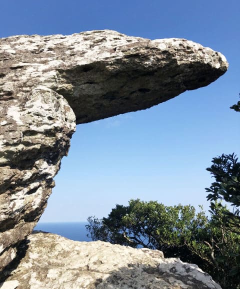 石垣島 屋良部岳 トロルの舌