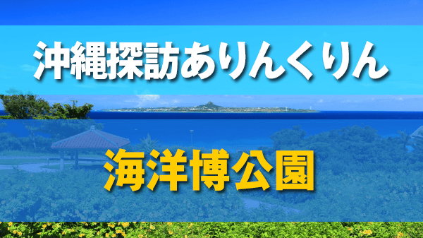 沖縄探訪ありんくりん 本部町 海洋博公園
