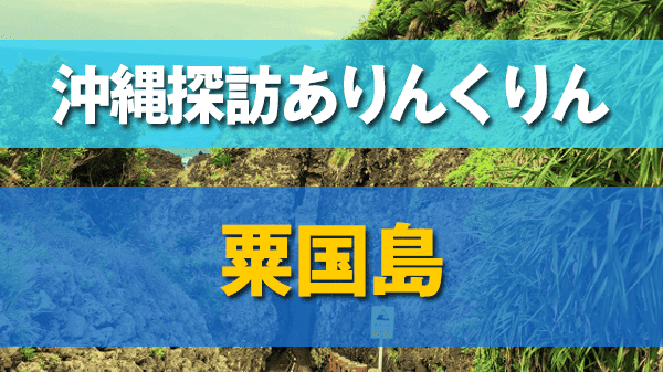 沖縄探訪ありんくりん 粟国島