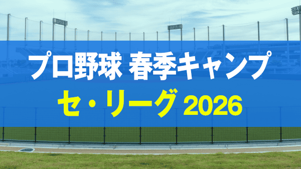 プロ野球 沖縄 春季キャンプ セ・リーグ 2026年