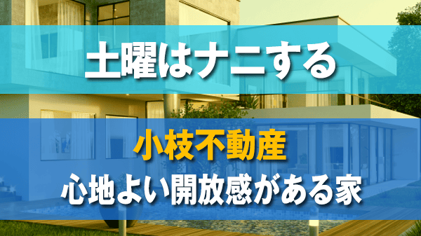 土曜はダメよ 小枝不動産 プール付き フクギ並木に囲まれた 大豪邸 心地よい開放感がある家