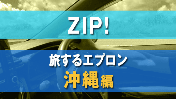 ZIP 旅するエプロン 沖縄編
