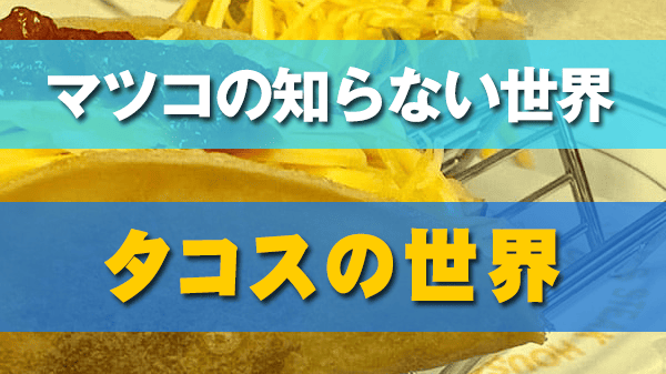 マツコの知らない世界 タコス